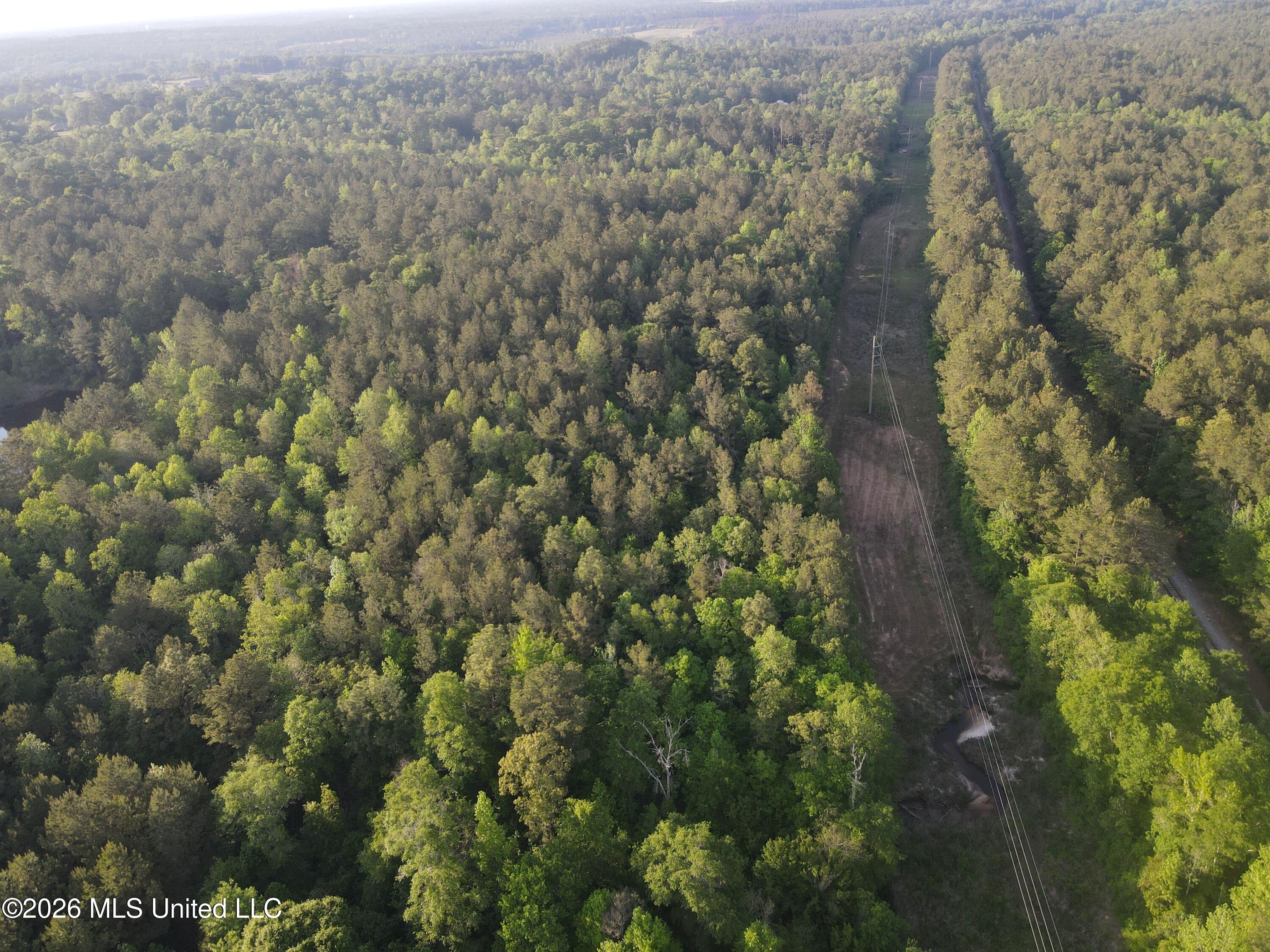Titus Stewart Road Hattiesburg, MS 39401 - Photo 3 of 35 Photo Apr 16 2026, 6 08 05 PM (1)