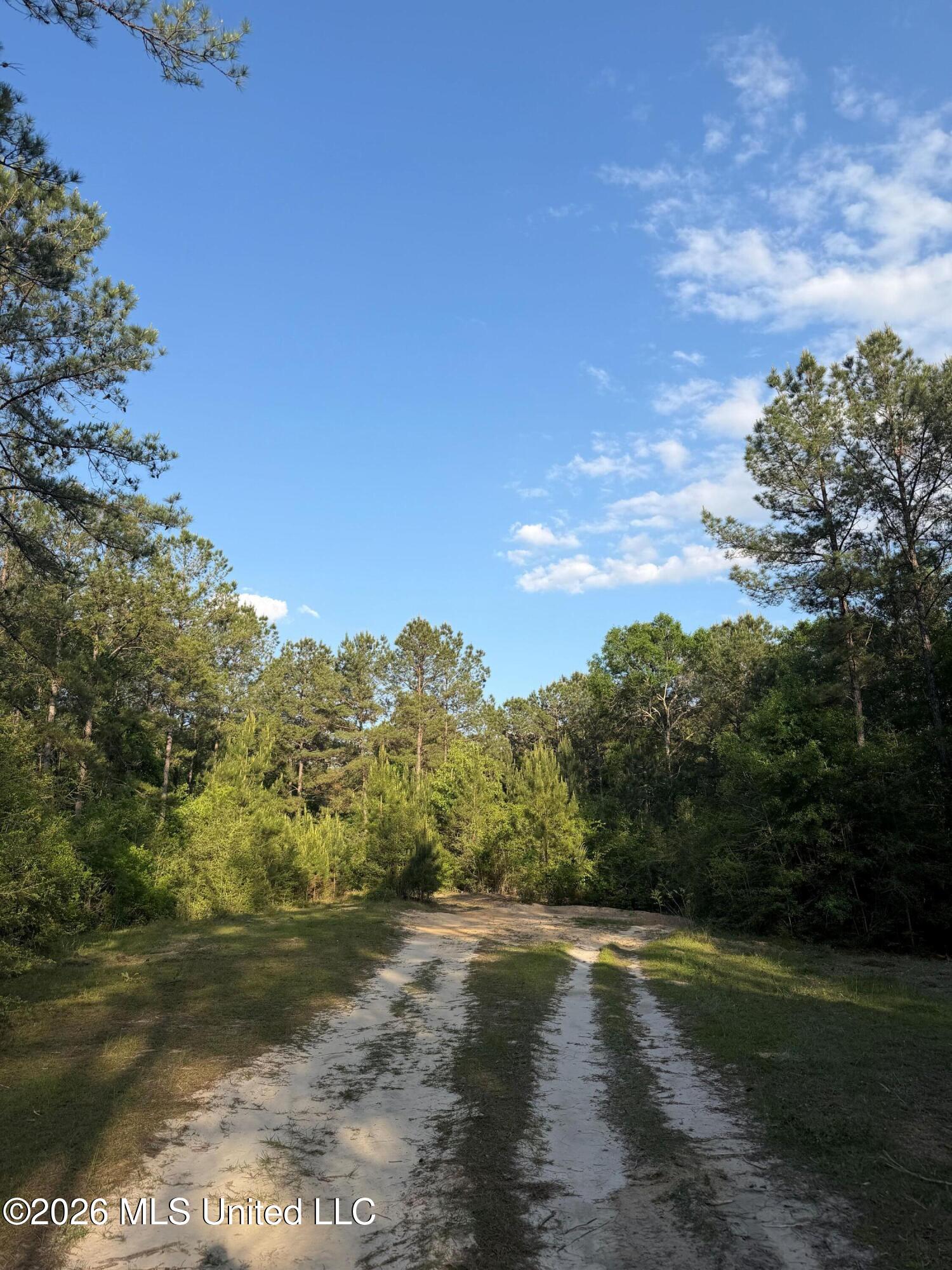 Titus Stewart Road Hattiesburg, MS 39401 - Photo 31 of 35 Photo Apr 16 2026, 5 56 06 PM