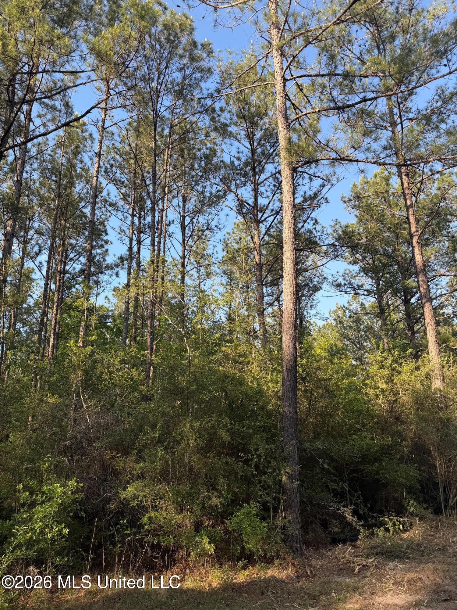 Titus Stewart Road Hattiesburg, MS 39401 - Photo 32 of 35 Photo Apr 16 2026, 5 58 09 PM