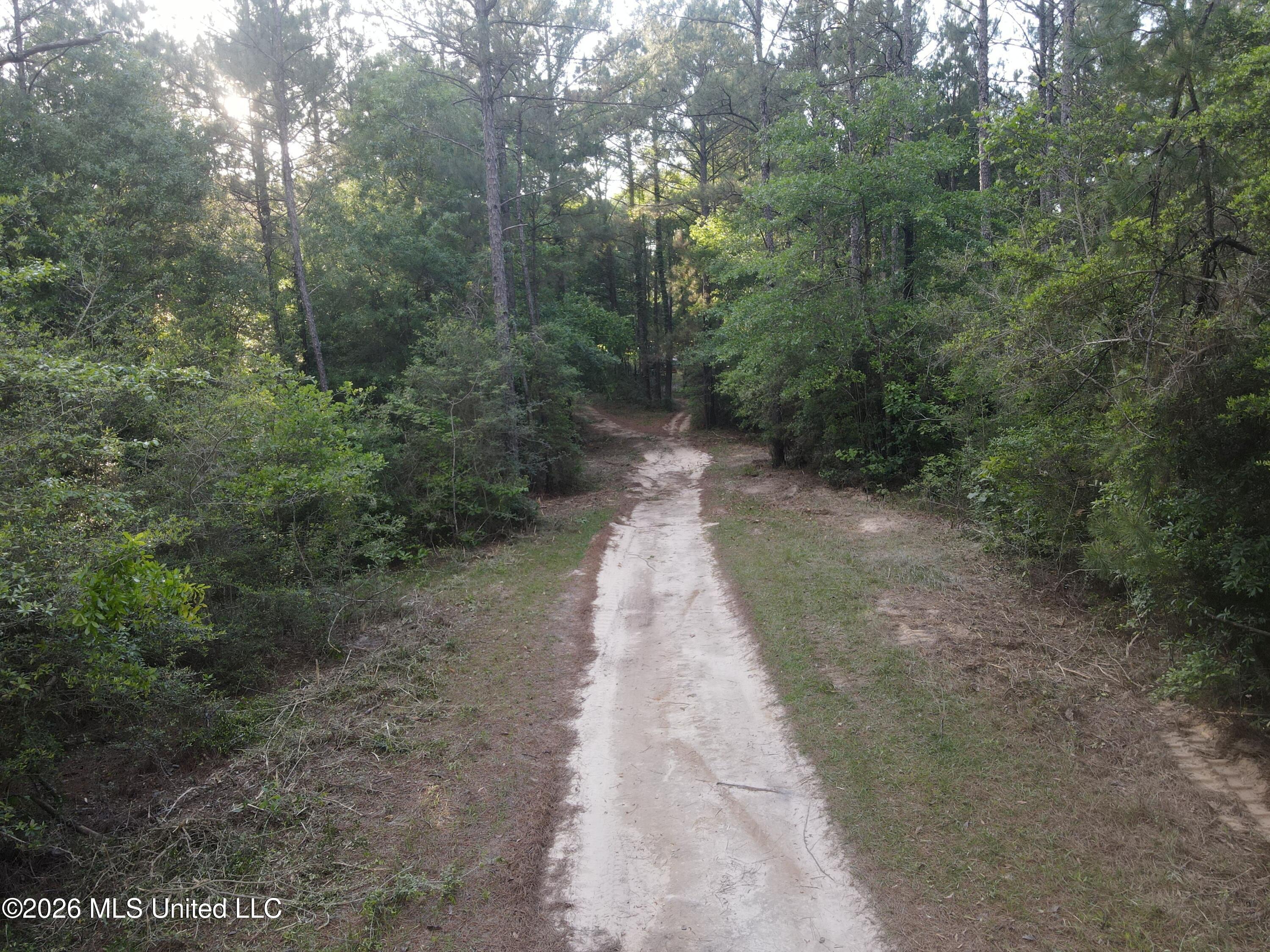 Titus Stewart Road Hattiesburg, MS 39401 - Photo 4 of 35 Photo Apr 16 2026, 6 14 59 PM