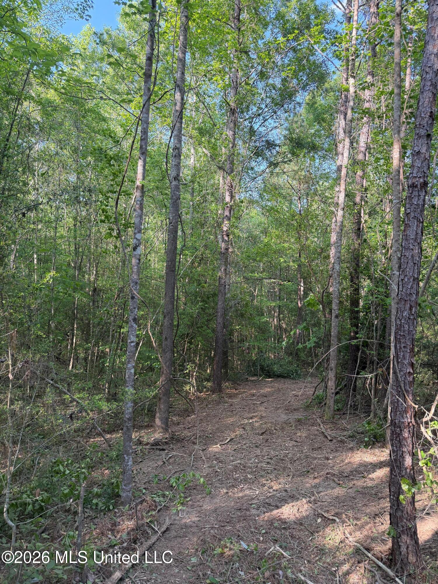 Titus Stewart Road Hattiesburg, MS 39401 - Photo 7 of 35 Photo Apr 16 2026, 5 09 25 PM