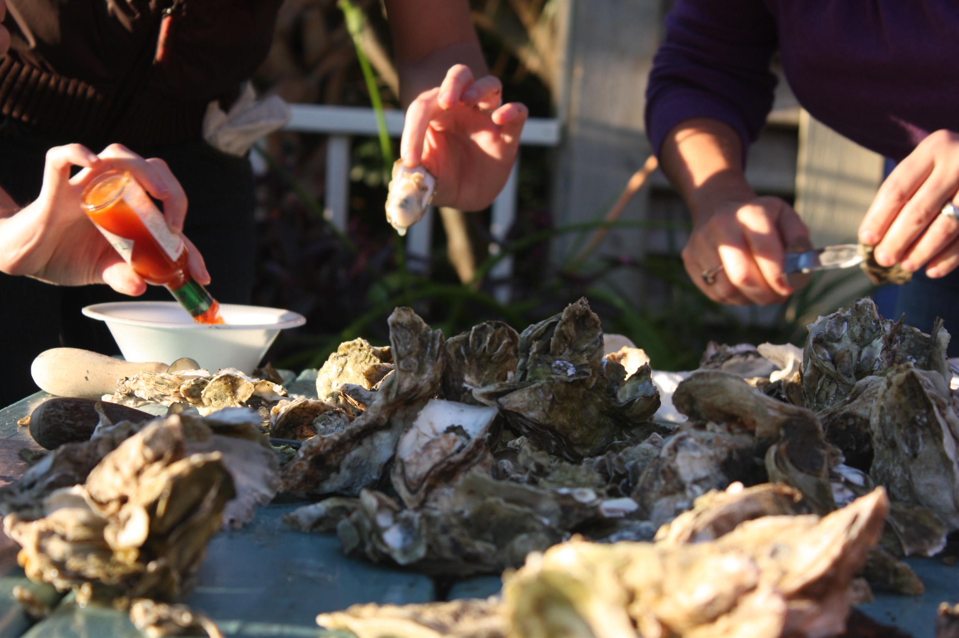 566 Yucca Avenue Murrells Inlet, SC 29576 - Photo 14 of 47