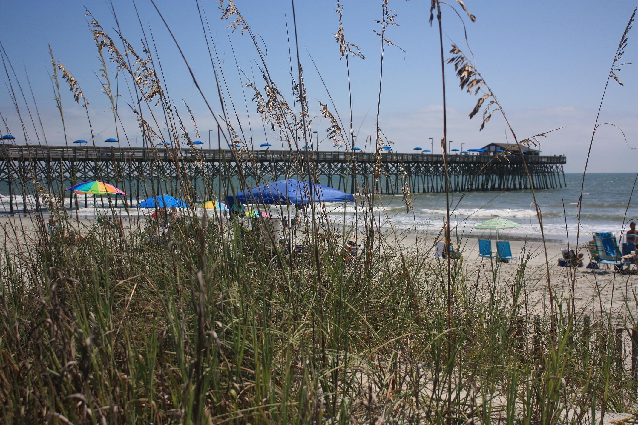 566 Yucca Avenue Murrells Inlet, SC 29576 - Photo 45 of 47