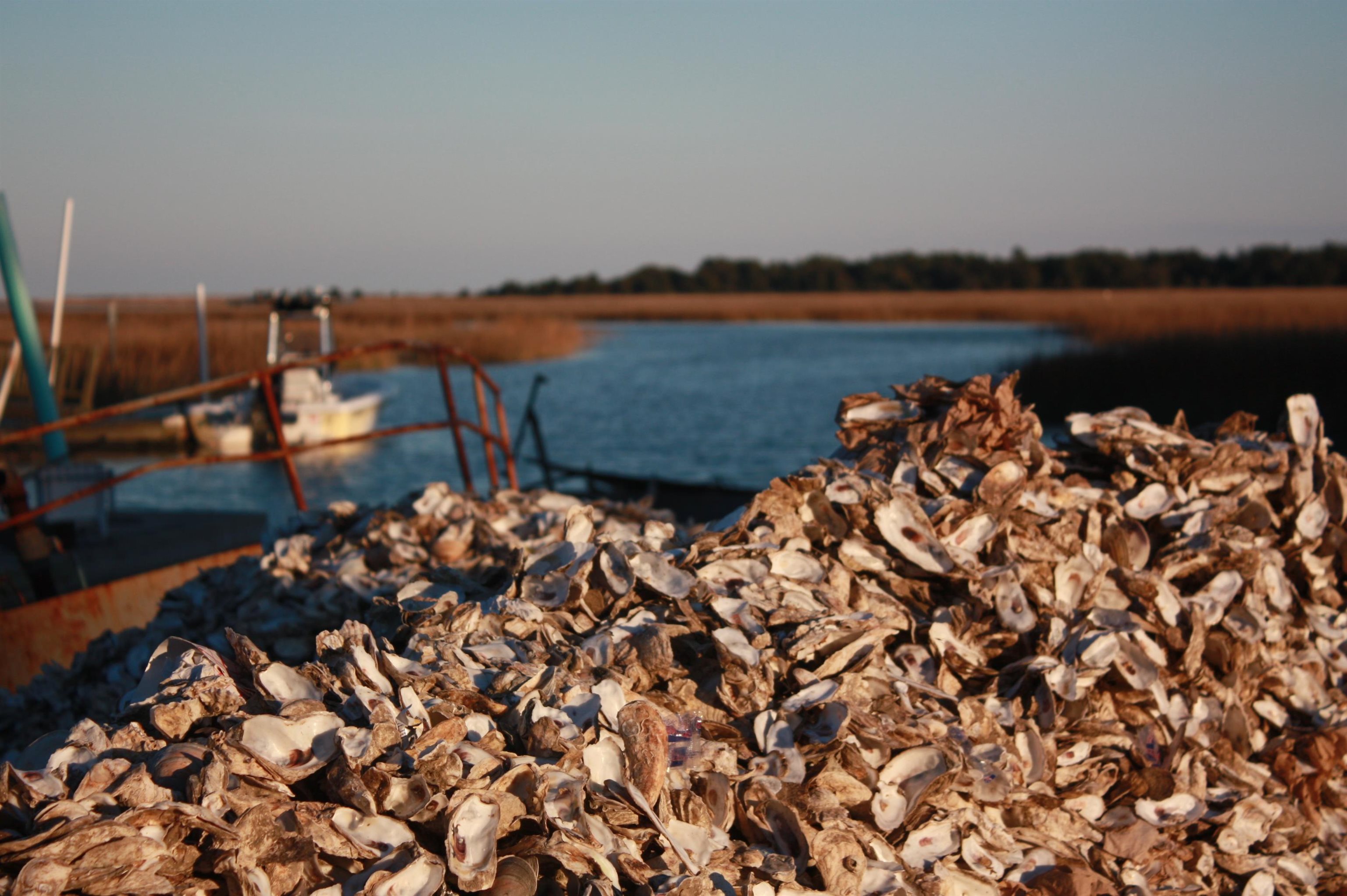 566 Yucca Avenue Murrells Inlet, SC 29576 - Photo 47 of 47