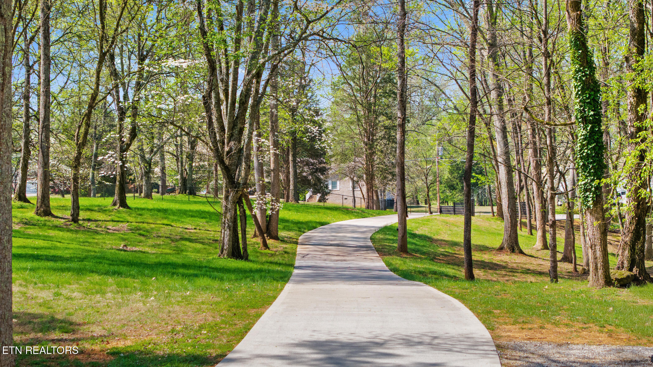 731 Bowman Bend Road Harriman, TN 37748 - Photo 5 of 60 dji_20260331123549_0781_d