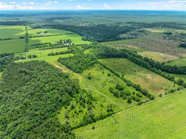 0 Edith Road Bush, LA 70431 - Photo 12 of 13