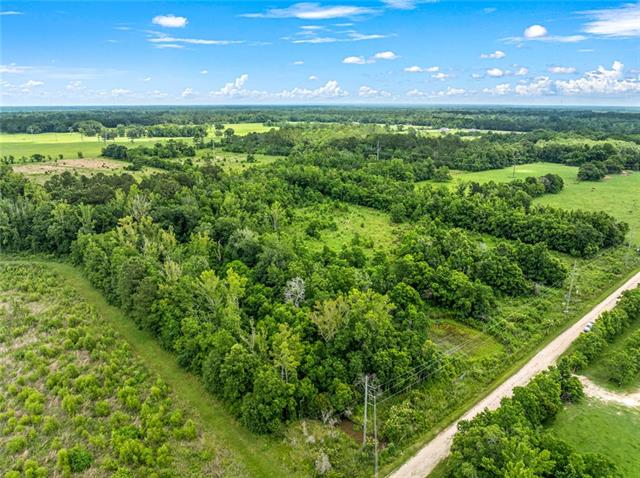 0 Edith Road Bush, LA 70431 - Photo 4 of 13