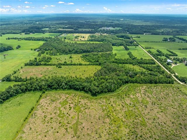 0 Edith Road Bush, LA 70431 - Photo 6 of 13