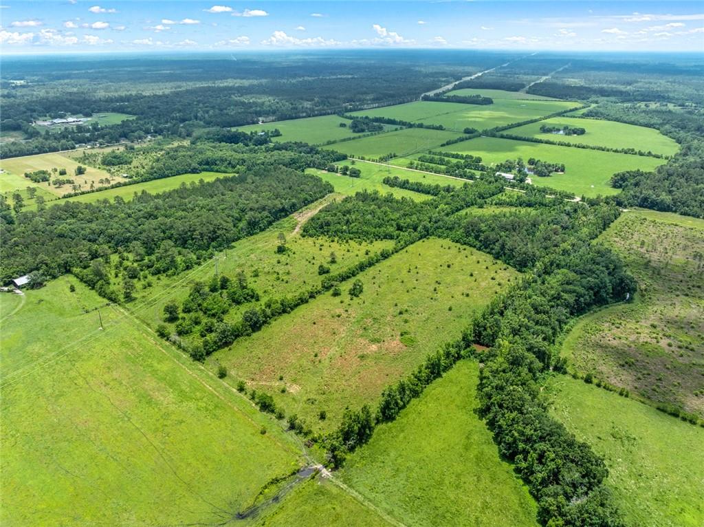 0 Edith Road Bush, LA 70431 - Photo 7 of 12