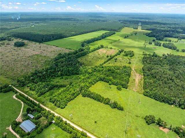 0 Edith Road Bush, LA 70431 - Photo 9 of 13
