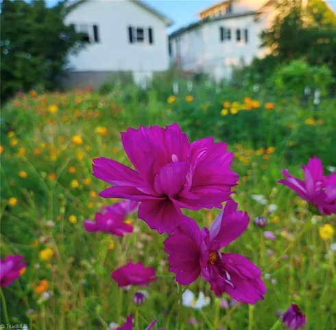 $305,000 | 53 Wagoner Street, Sparta, NC 28675