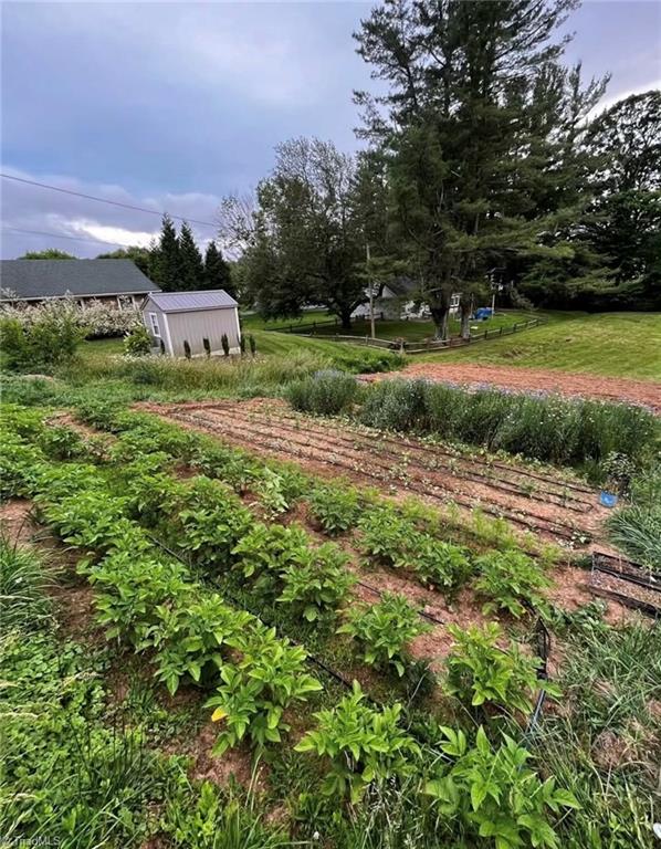 53 Wagoner Street Sparta, NC 28675 - Photo 22 of 26 Spring established gardens 53 Wagoner Street Sparta, NC