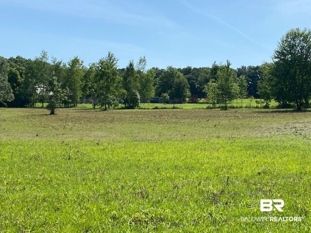 0 Beasley Road Foley, AL 36535 - Photo 27 of 29