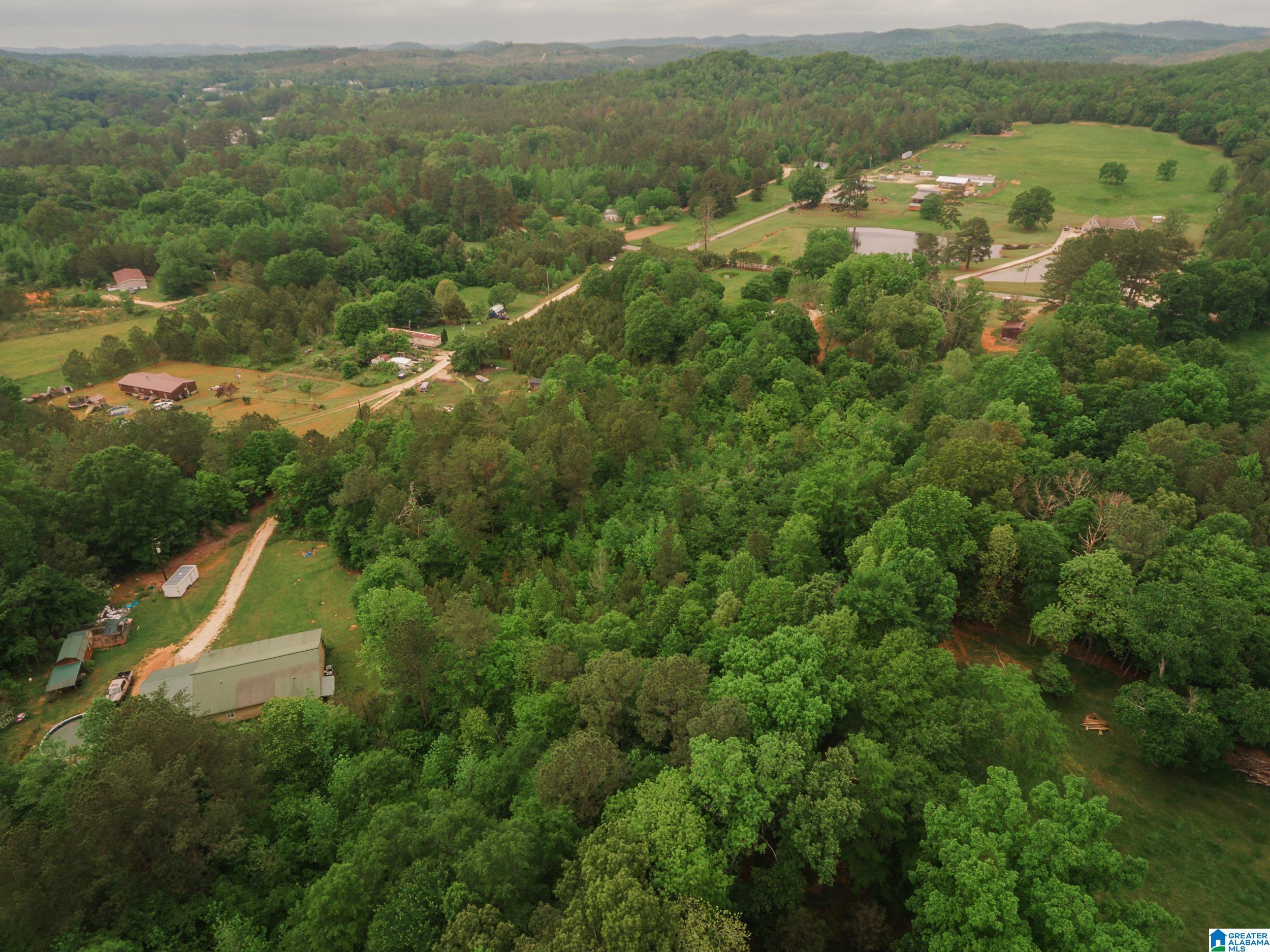 600 Possum Trot Road, Unit 10 34 Piedmont, AL 36272 - Photo 12 of 15