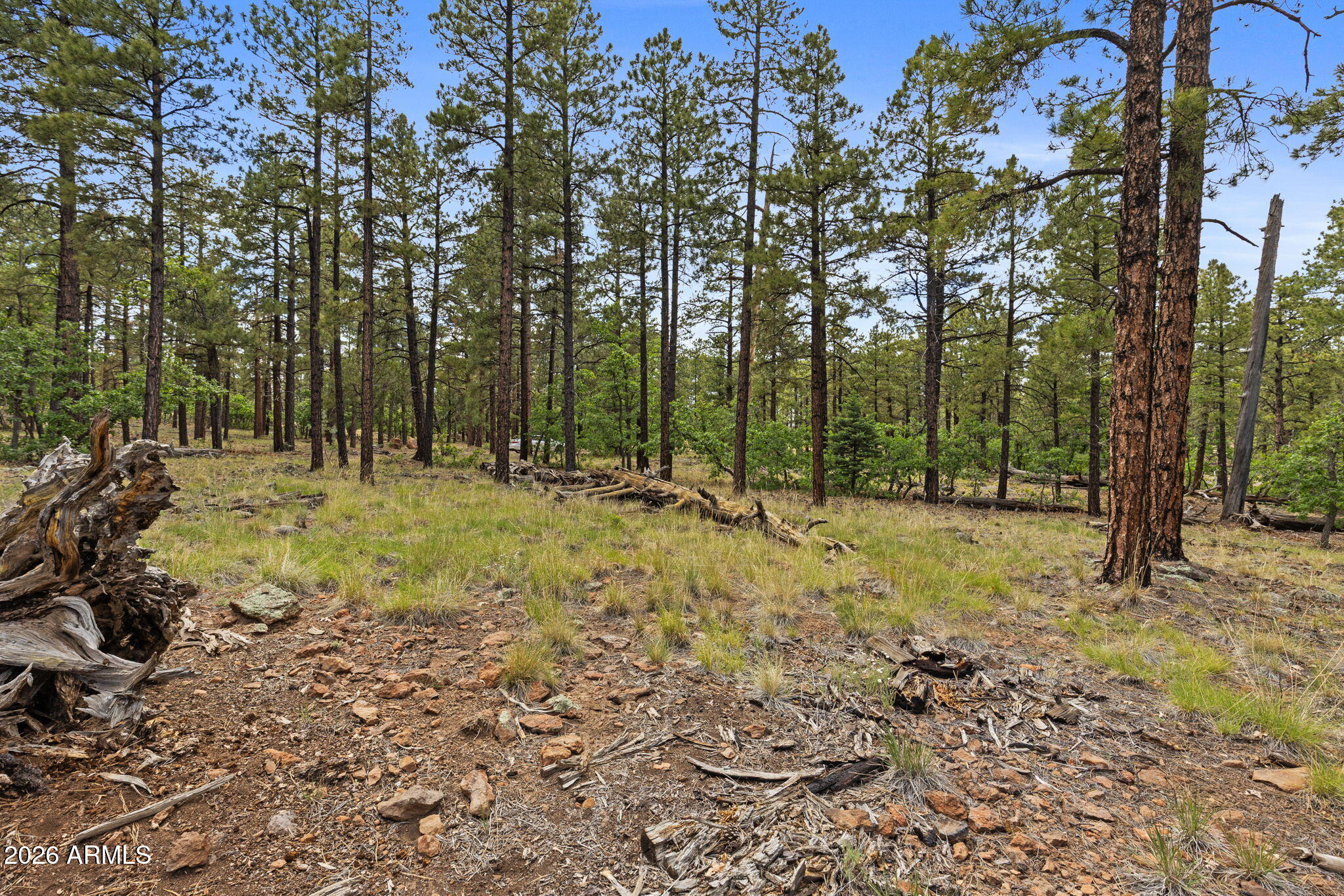 1628 Canyon View Loop, Unit 27 Williams, AZ 86046 - Photo 19 of 27