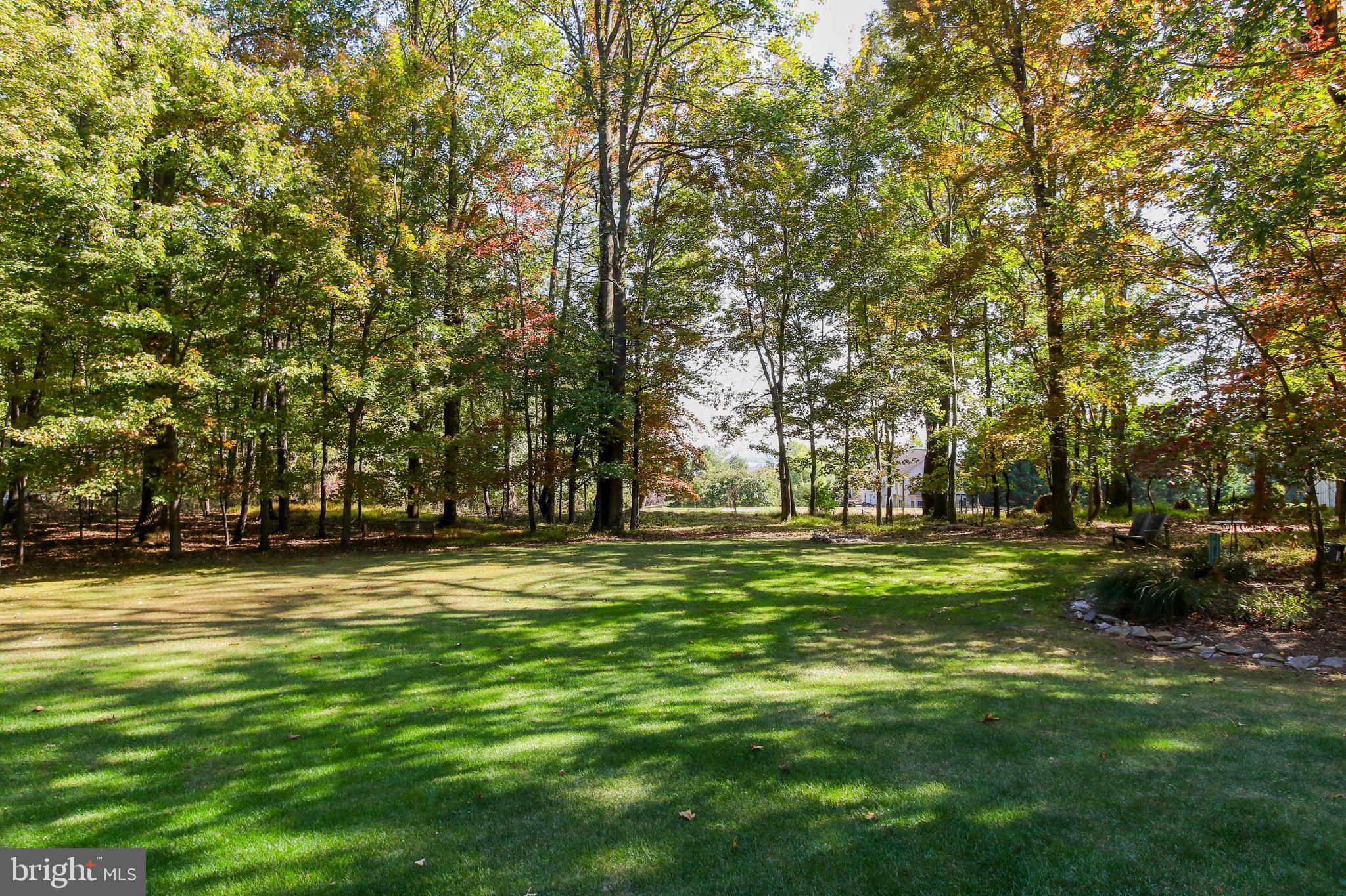8240 Edgewood Church Road Frederick, MD 21702 - Photo 34 of 44 Large, secluded, wooded lot