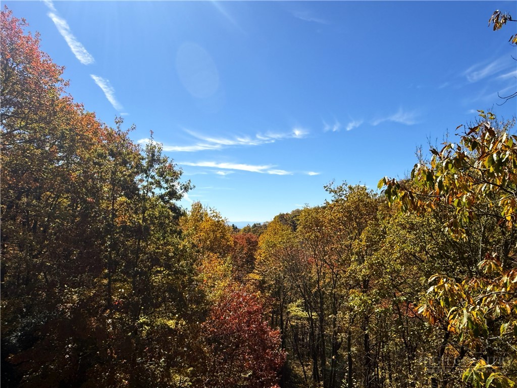 Lot 61 Boone Coffey Trail Boone, NC 28607 - Photo 1 of 22
