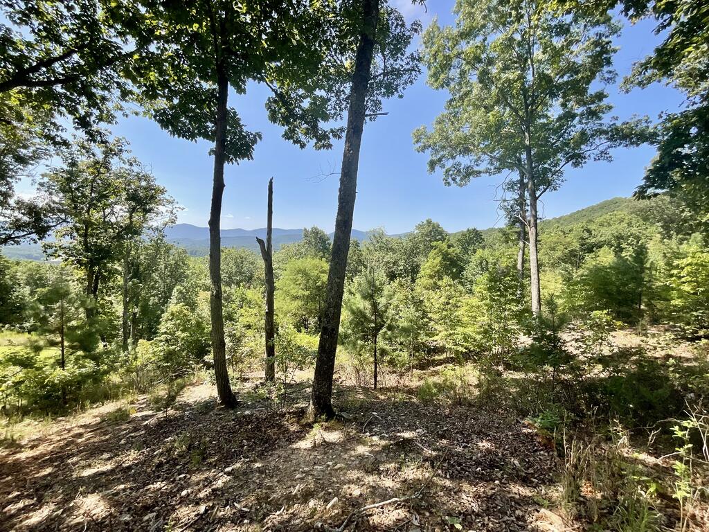 Lot 129 Winding Ridge Blairsville, GA 30512 - Photo 7 of 13 Gallery Image 7