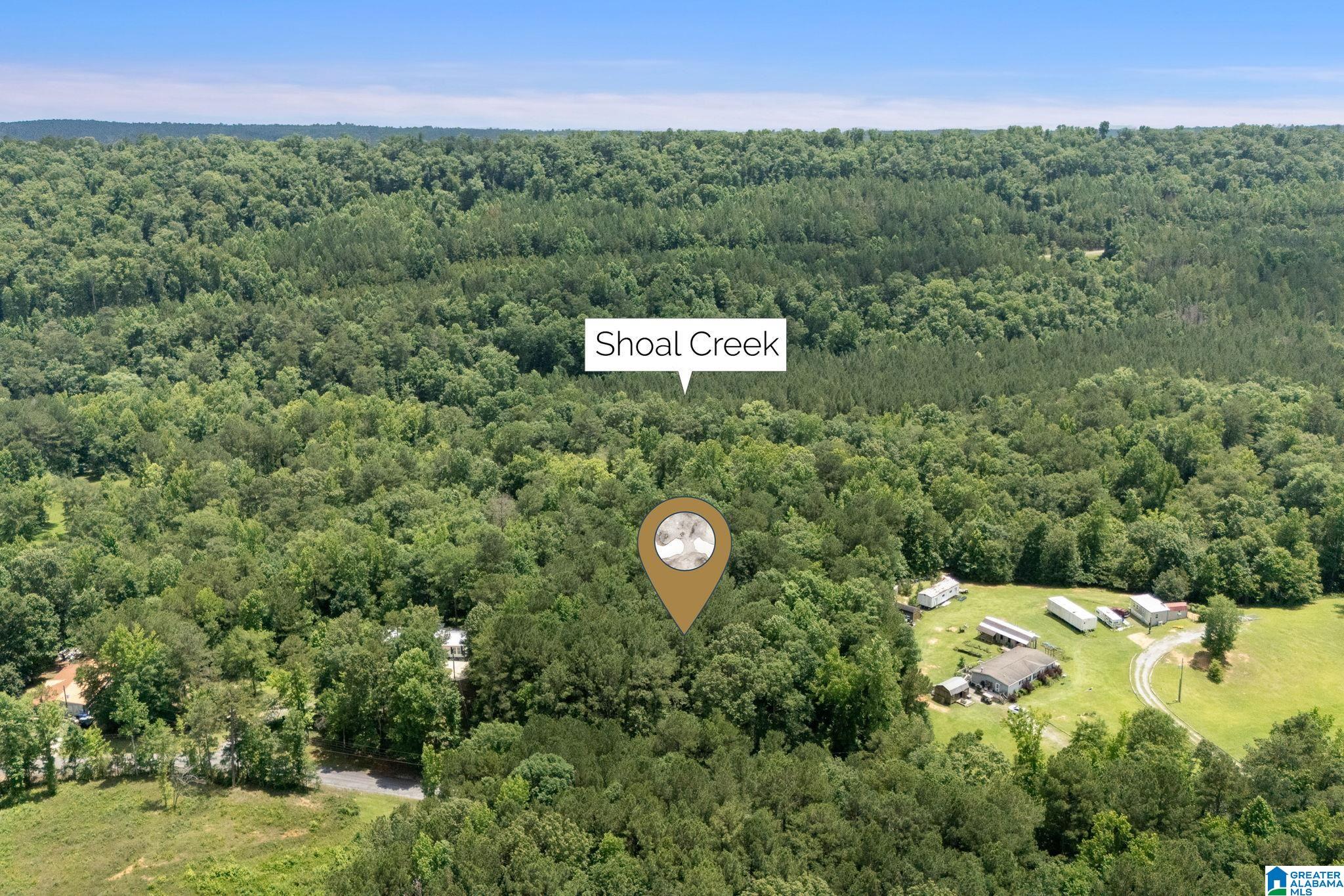 0 Waldrop Road, Unit 1 Ashville, AL 35953 - Photo 4 of 13