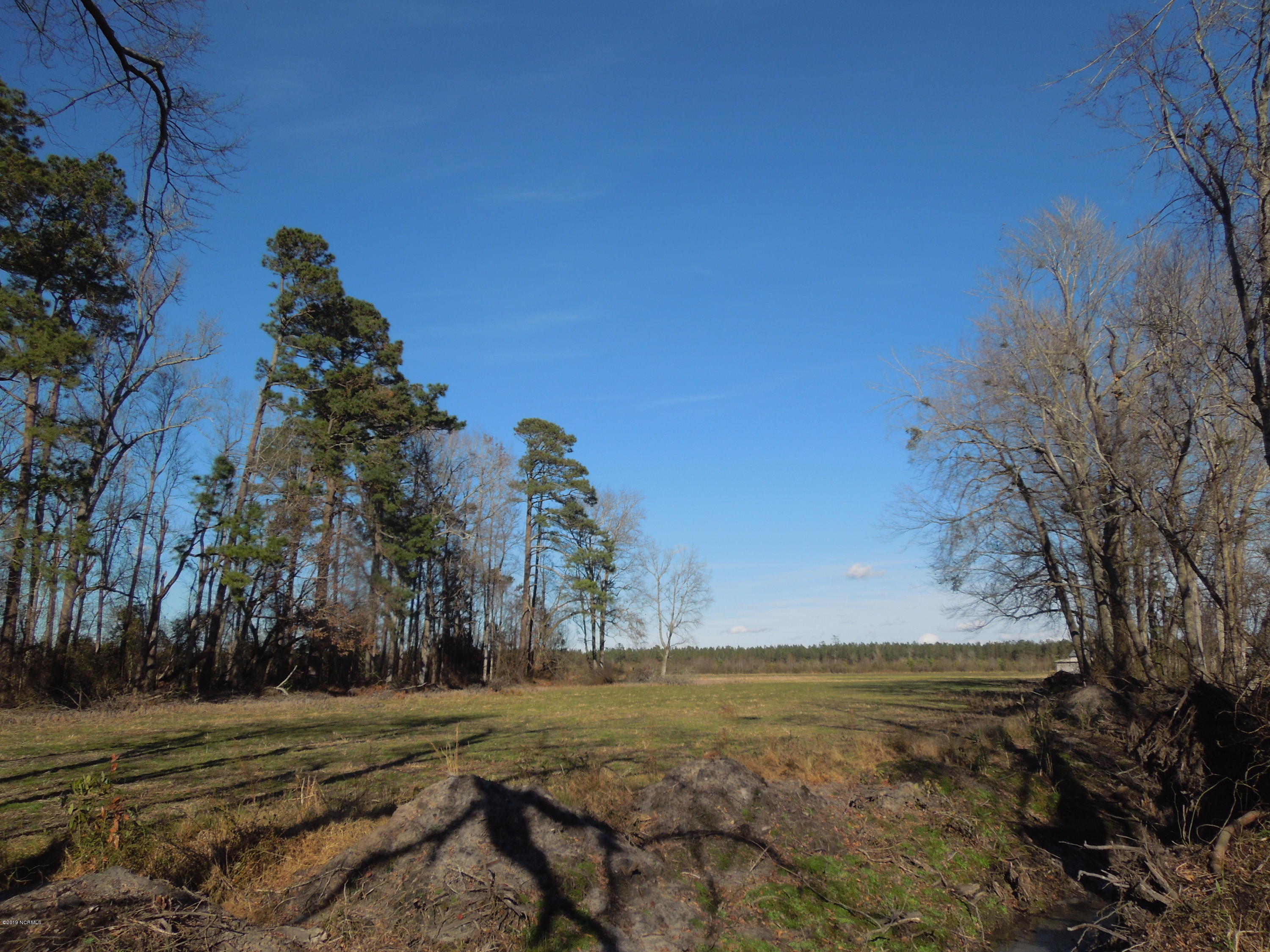 4 Beattys Bridge Road Atkinson, NC 28421 - Photo 1 of 10 DSCN4298