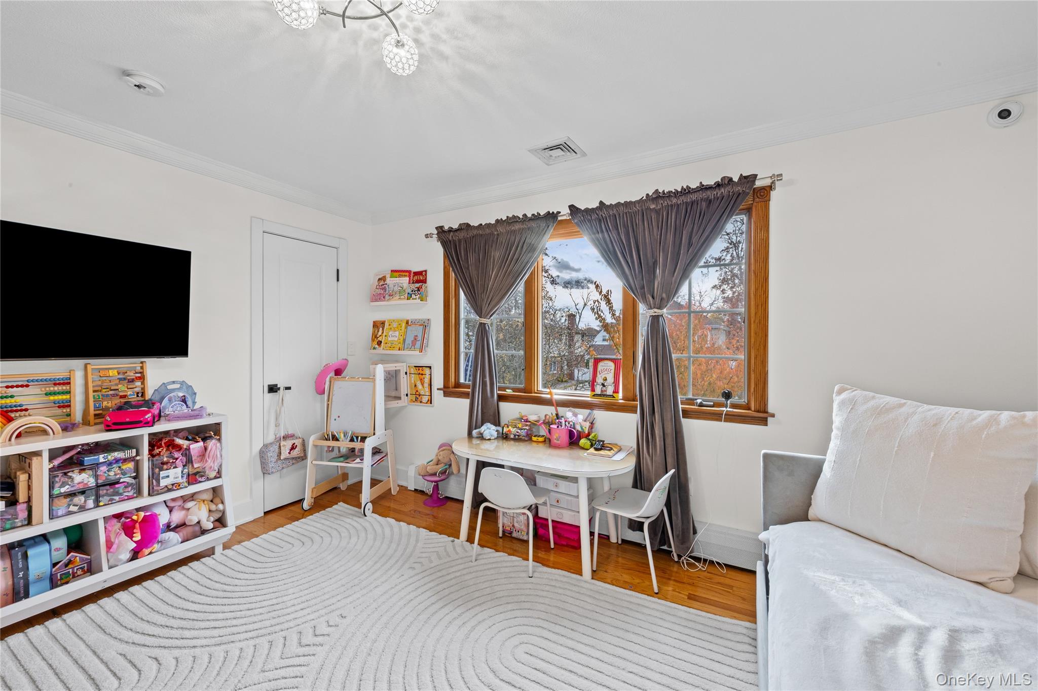 8 Willow Road New Hyde Park, NY 11040 - Photo 17 of 34 a living room with furniture a flat screen tv and a floor to ceiling window