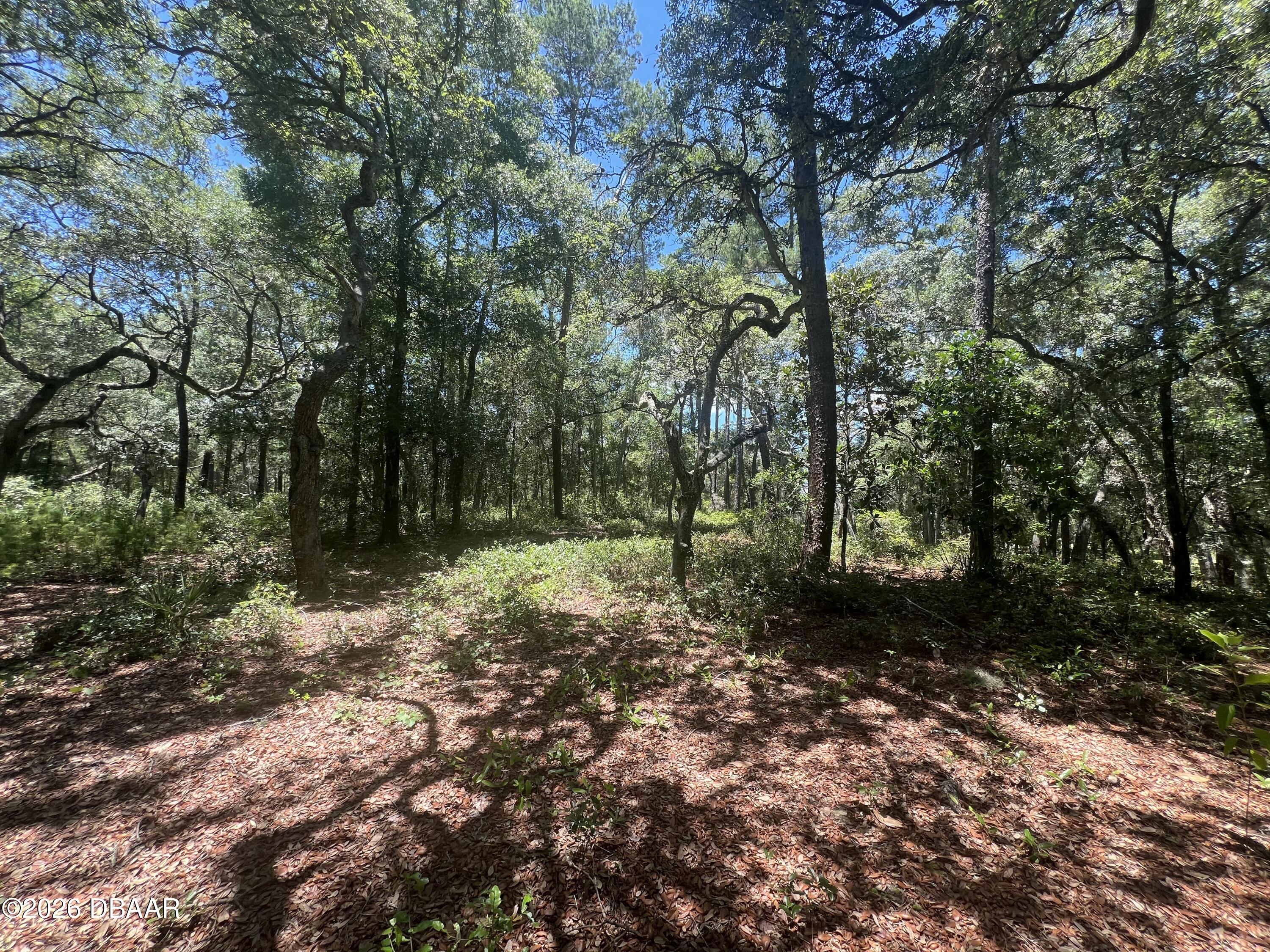 1425 Renbar Road De Leon Springs, FL 32130 - Photo 15 of 16 IMG_3572