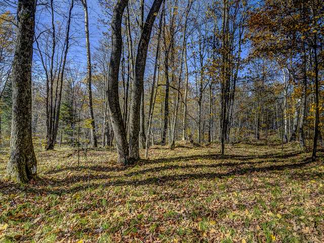 Off Nicolet Shores Road Phelps, WI 54554 - Photo 10 of 14 Gallery Image 10