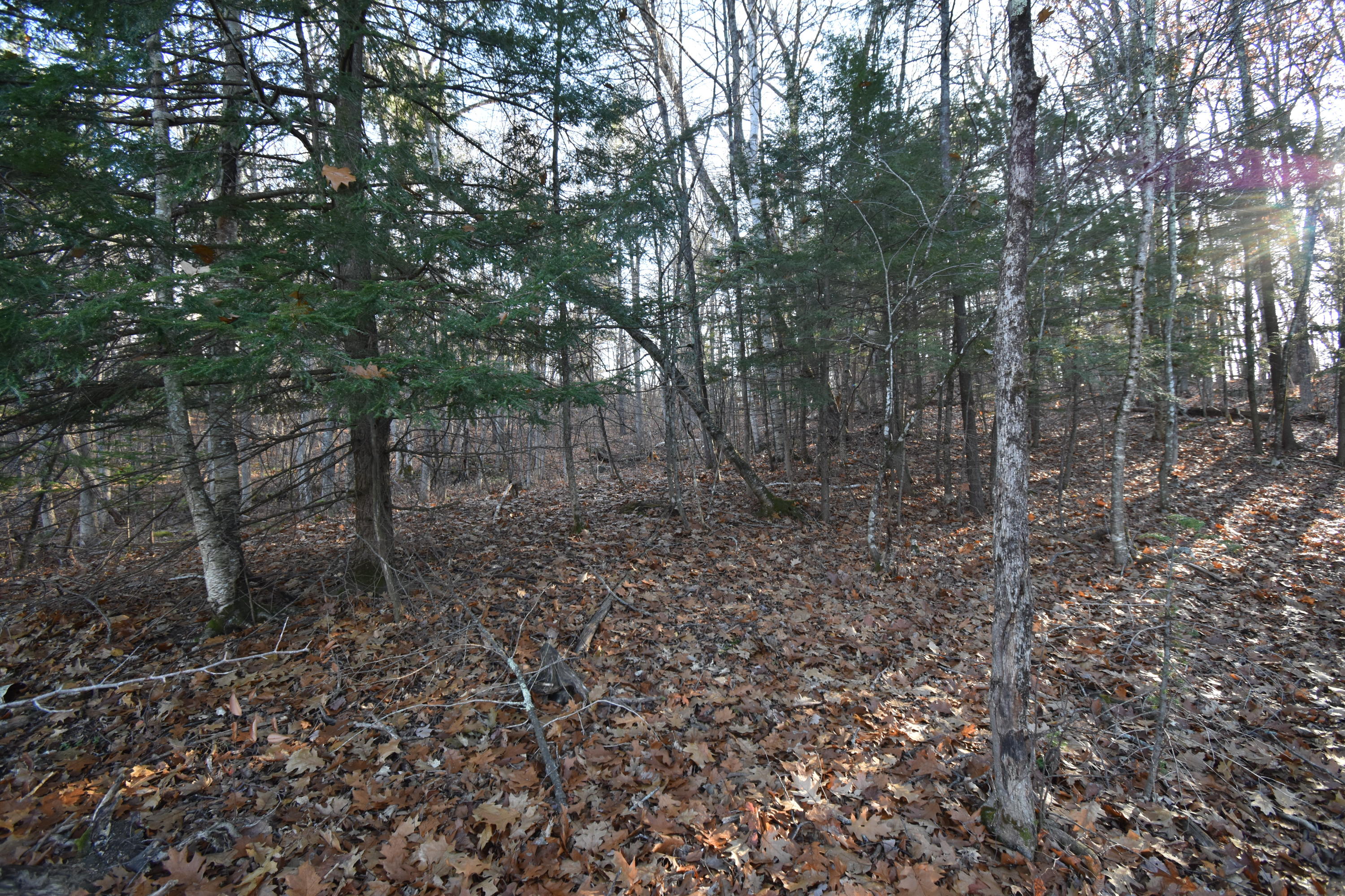 0 Lunts Hill Road Litchfield, ME 04350 - Photo 58 of 80 DSC_0898