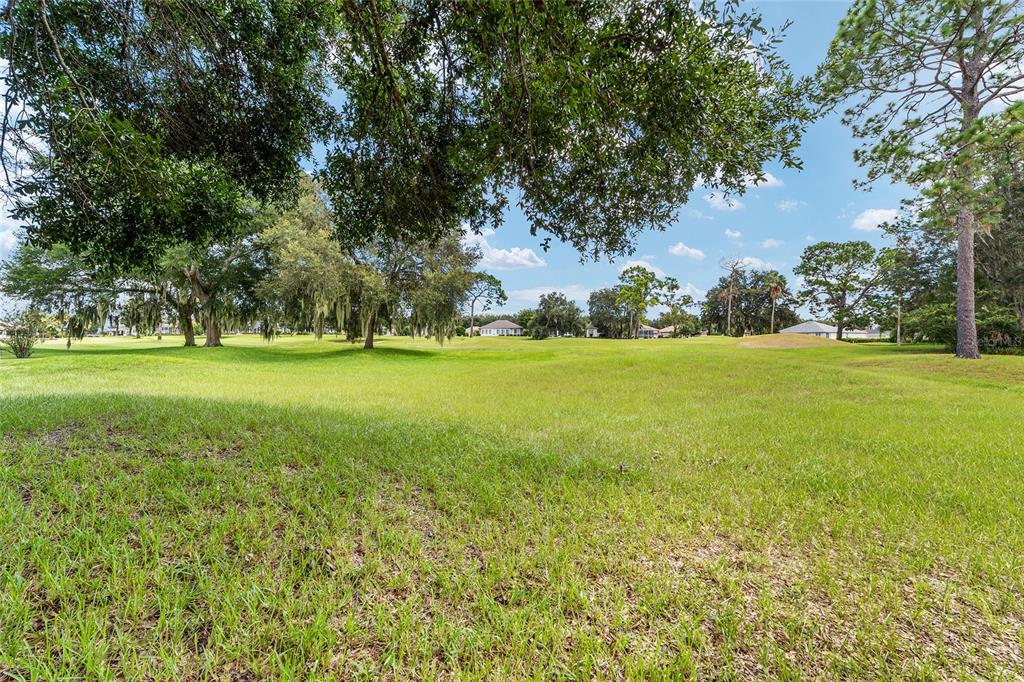 12896 Southeast 91st Terrace Road Summerfield, FL 34491 - Photo 45 of 77 a view of a green field with lots of bushes