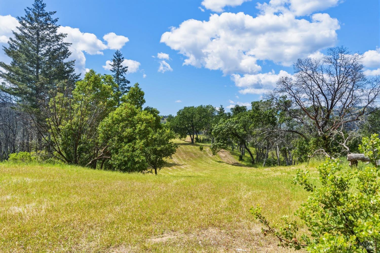 3444 Chicken Ridge Road Healdsburg, CA 95448 - Photo 2 of 21 a view of a garden