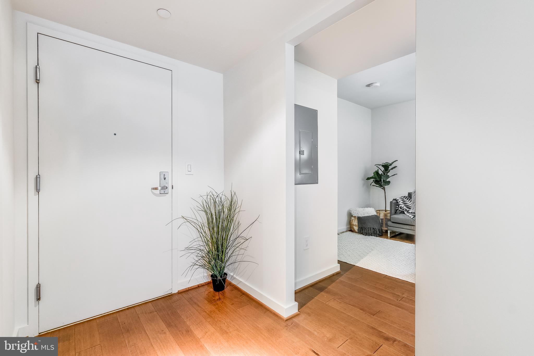 1025 First Street Southeast, Unit 201 Washington, DC 20003 - Photo 8 of 31 a view of a hallway to a potted plant