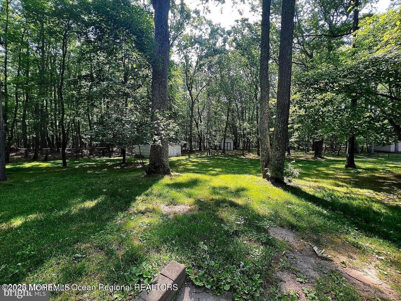 791 Harmony Road Jackson, NJ 08527 - Photo 16 of 16 a view of a big yard with trees