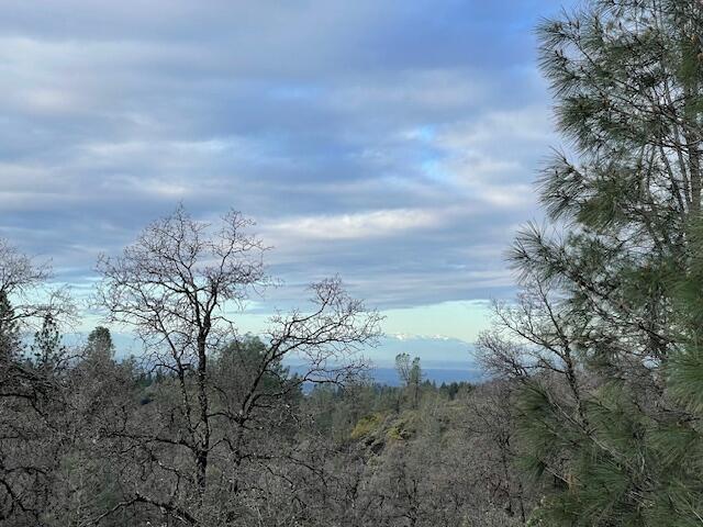 160 Ac Road Oak Run, CA 96069 - Photo 16 of 39 20240322022105232929000000-o