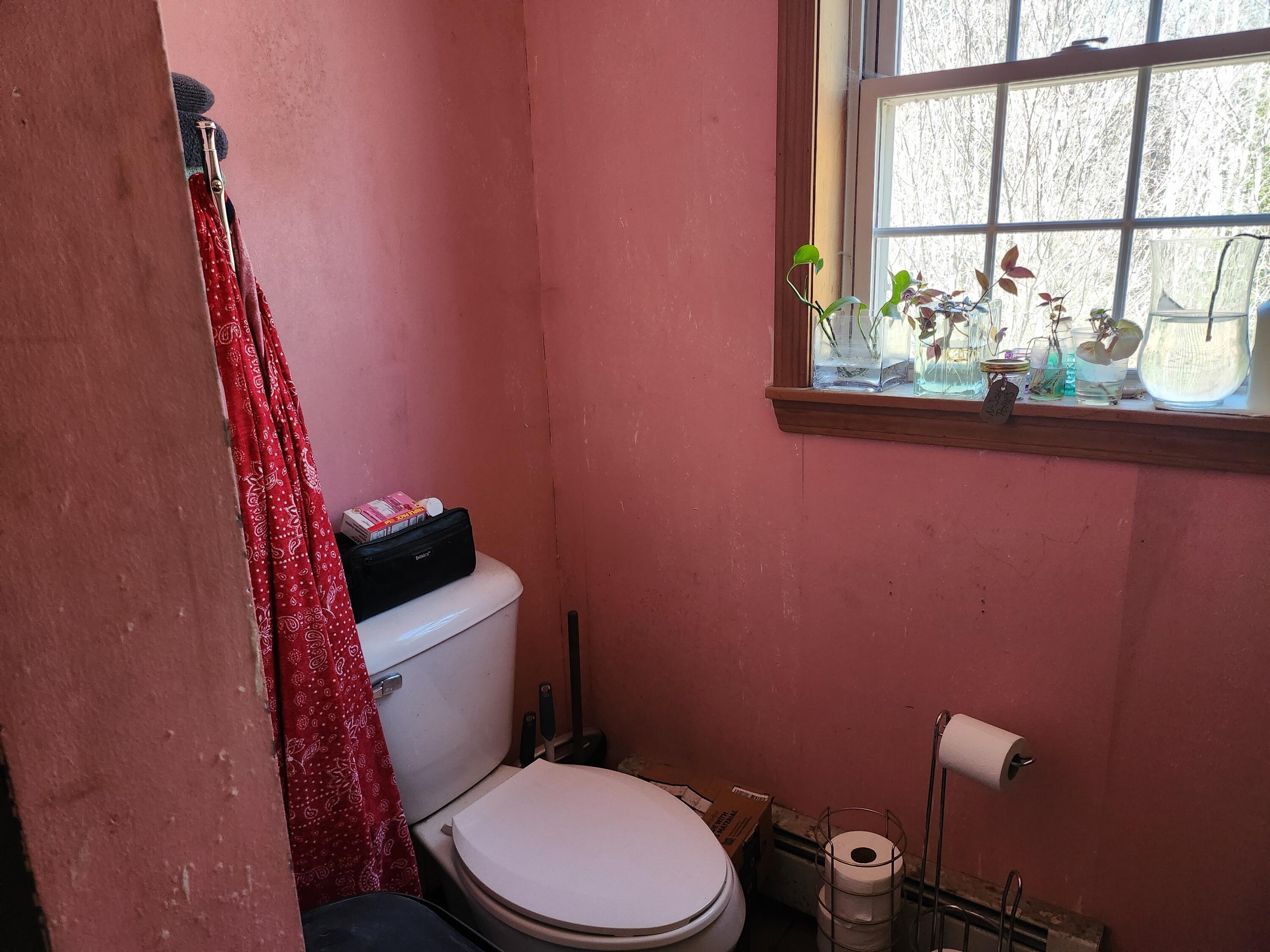 730 Village Road Stetson, ME 04488 - Photo 15 of 17 20250402_133402