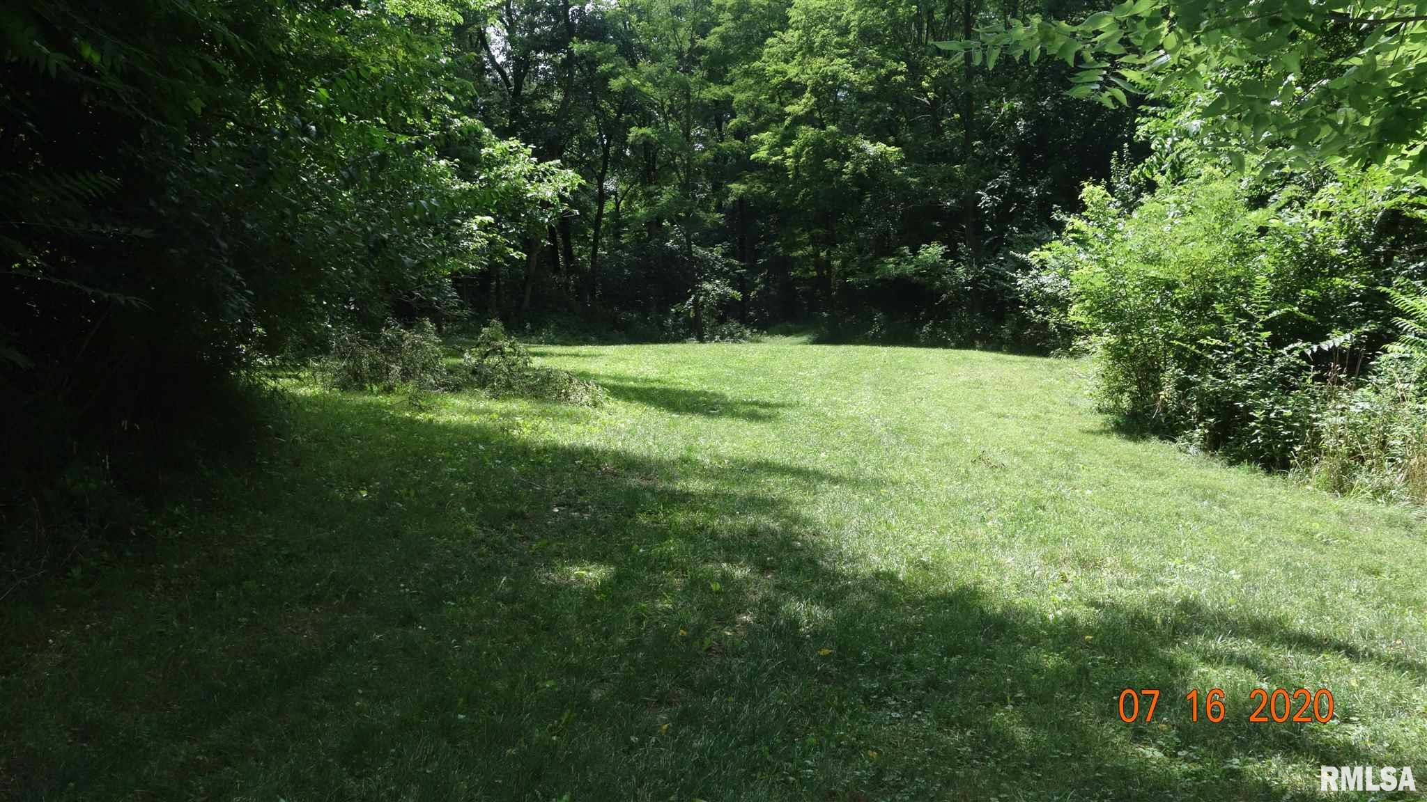 Tract F East Newcomb Road Farmington, IL 61531 - Photo 3 of 10