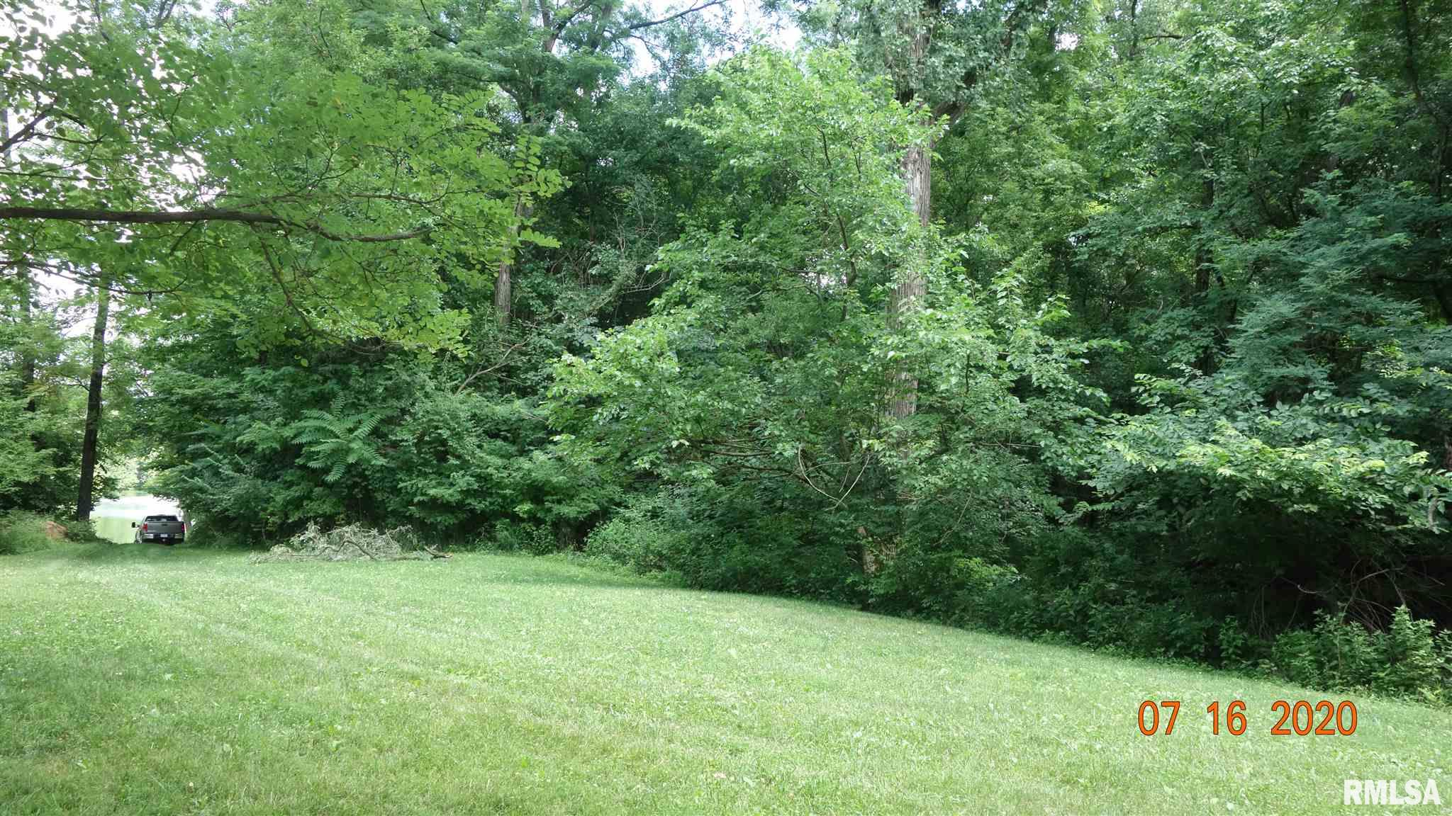 Tract F East Newcomb Road Farmington, IL 61531 - Photo 5 of 10