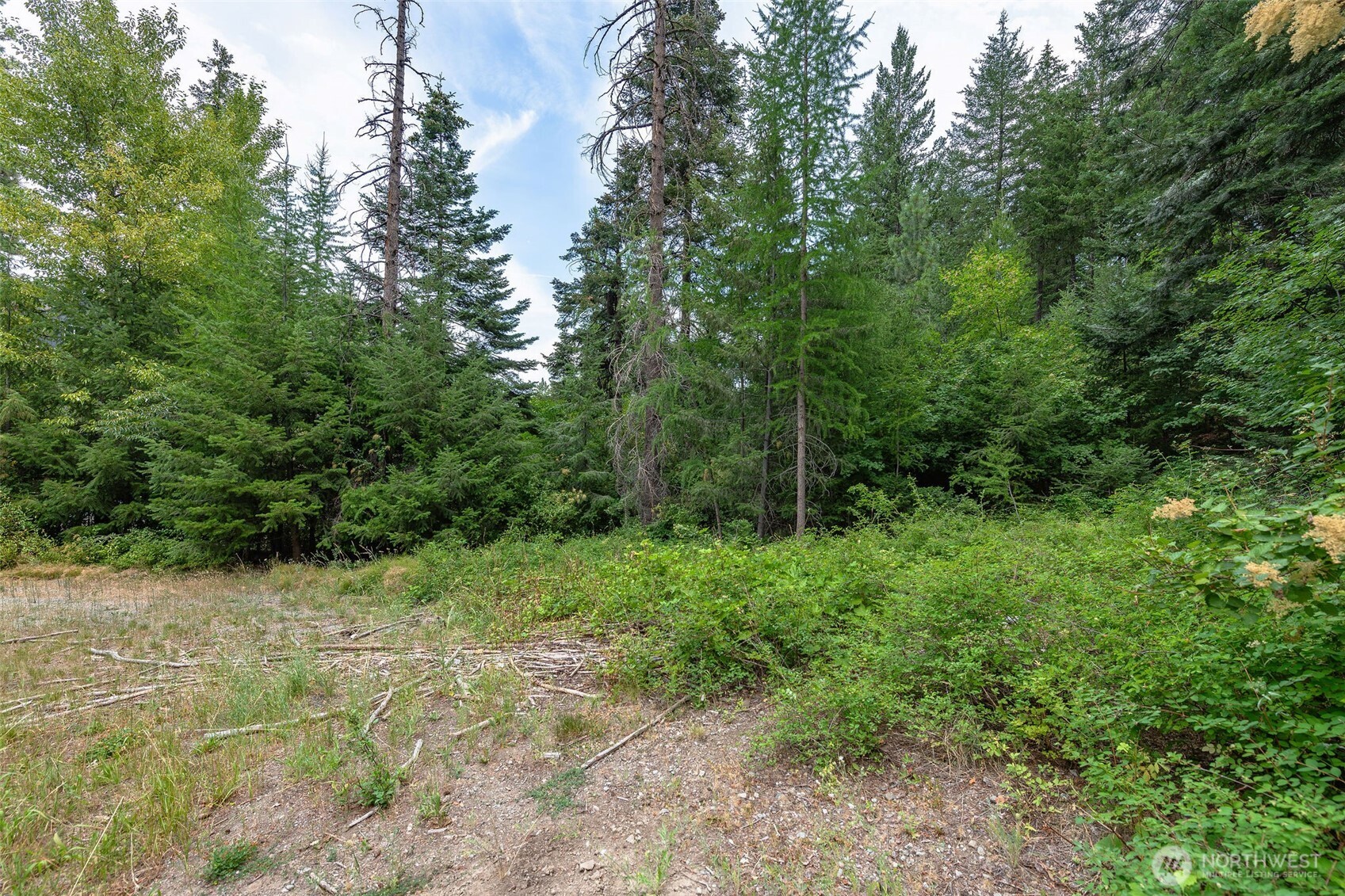 6409 Forest Ridge Drive Wenatchee, WA 98801 - Photo 6 of 30