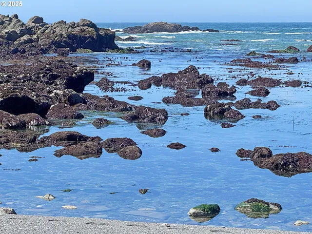 an aerial view of a house with a garden and trees