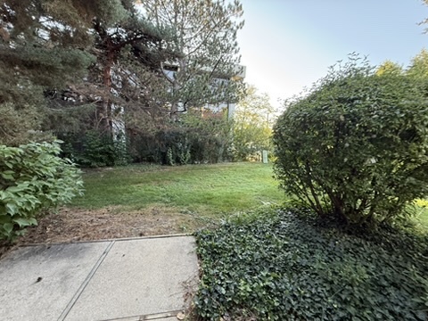 5513 Barclay Court Clarendon Hills, IL 60514 - Photo 17 of 20 a view of a trees with a yard