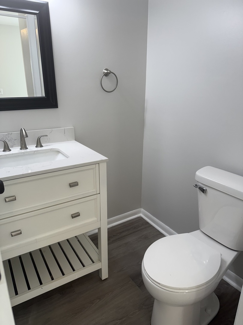 5513 Barclay Court Clarendon Hills, IL 60514 - Photo 9 of 20 a bathroom with a sink toilet and mirror