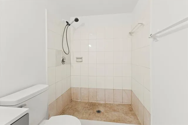 a bathroom with a shower and toilet