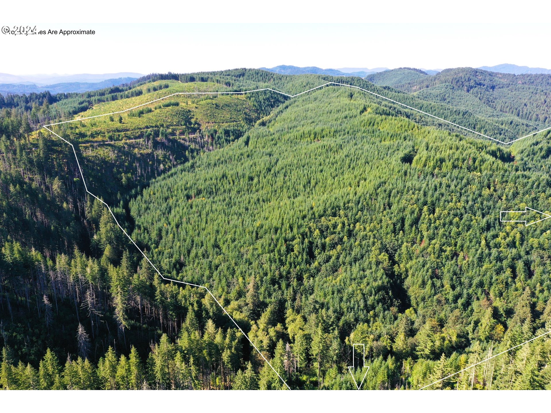 High Pass Road, Unit TL3400 Junction City, OR 97448 - Photo 1 of 48 Gallery Image 1