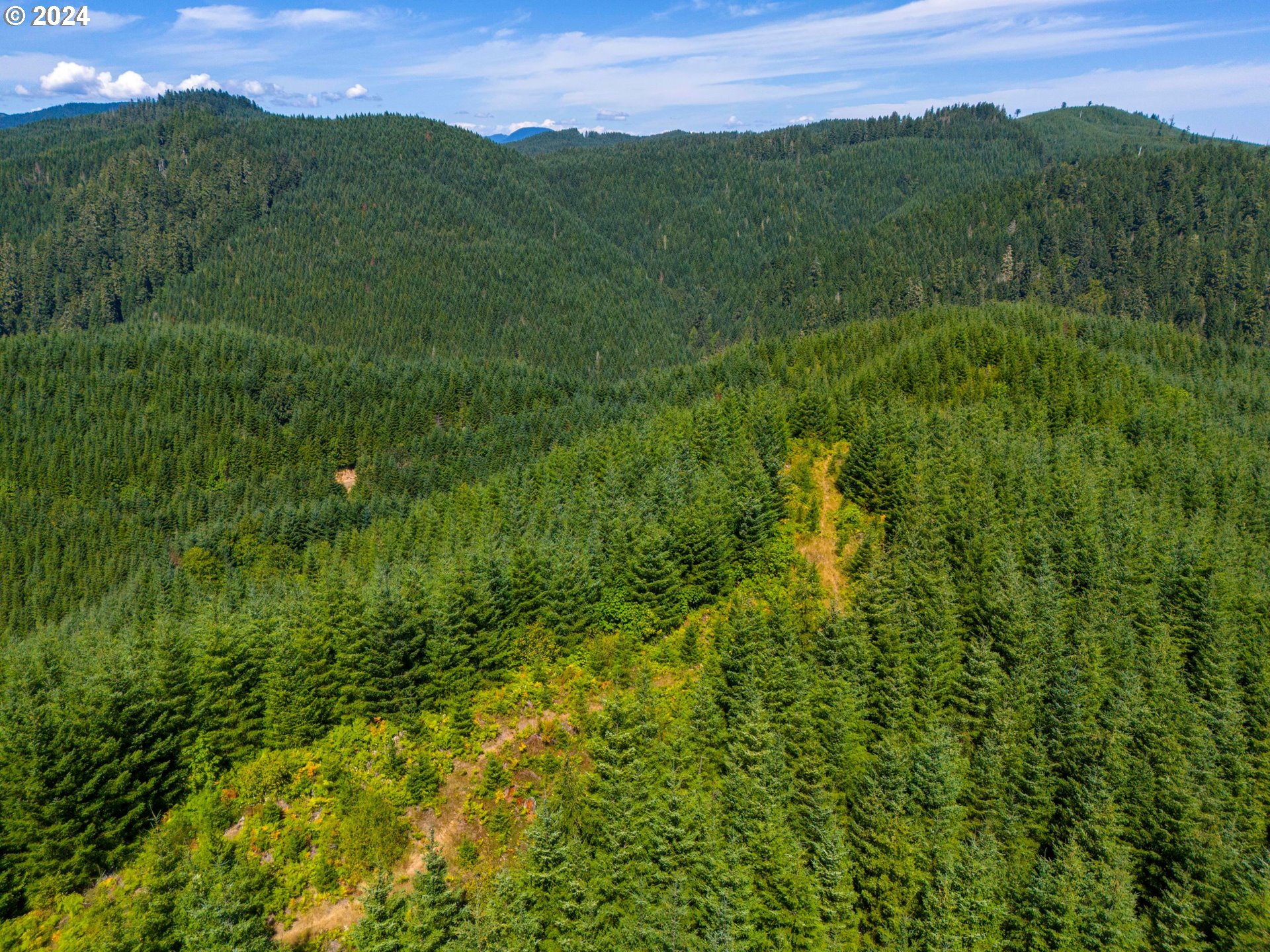 High Pass Road, Unit TL3400 Junction City, OR 97448 - Photo 11 of 48 Gallery Image 11