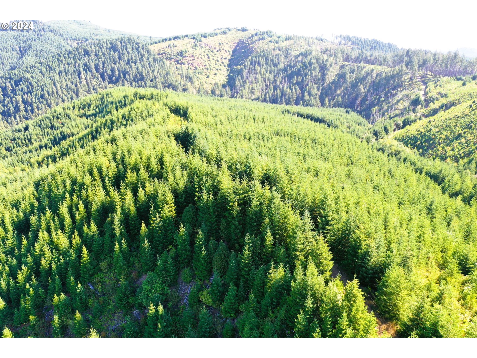 High Pass Road, Unit TL3400 Junction City, OR 97448 - Photo 12 of 48 Gallery Image 12