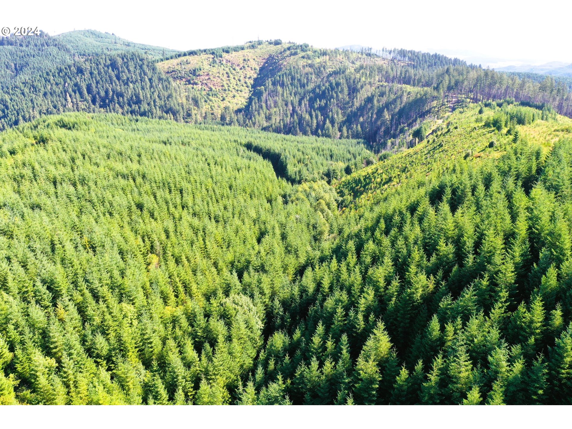 High Pass Road, Unit TL3400 Junction City, OR 97448 - Photo 15 of 48 Gallery Image 15