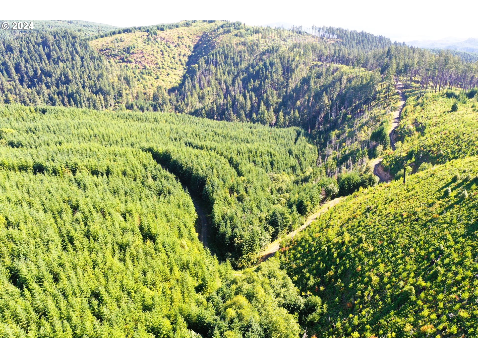 High Pass Road, Unit TL3400 Junction City, OR 97448 - Photo 16 of 48 Gallery Image 16
