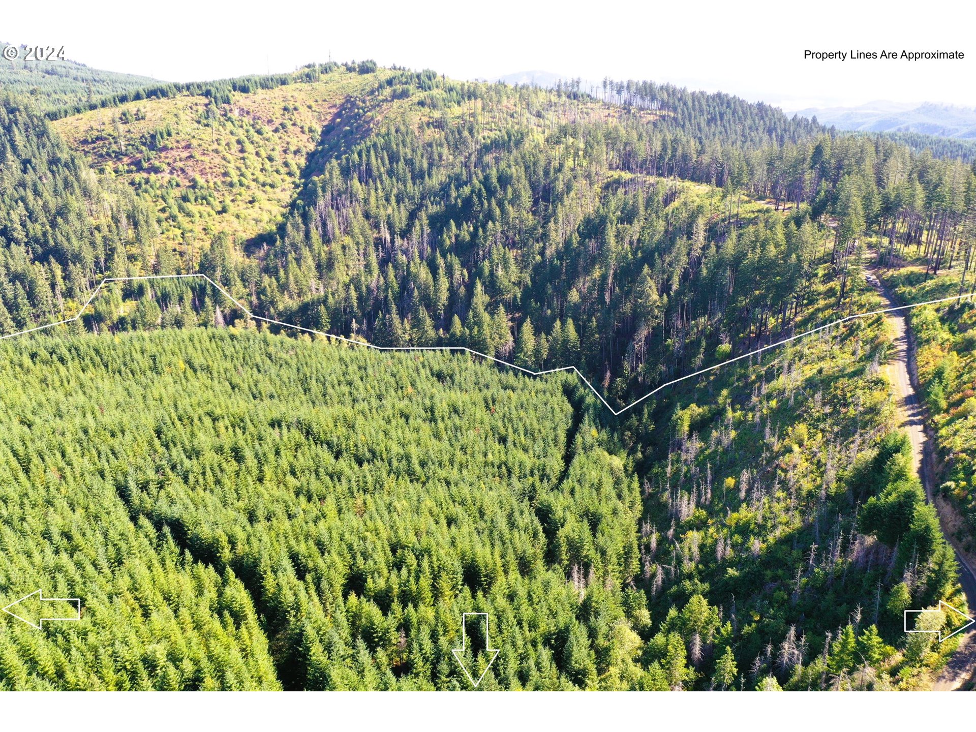 High Pass Road, Unit TL3400 Junction City, OR 97448 - Photo 17 of 48 Gallery Image 17