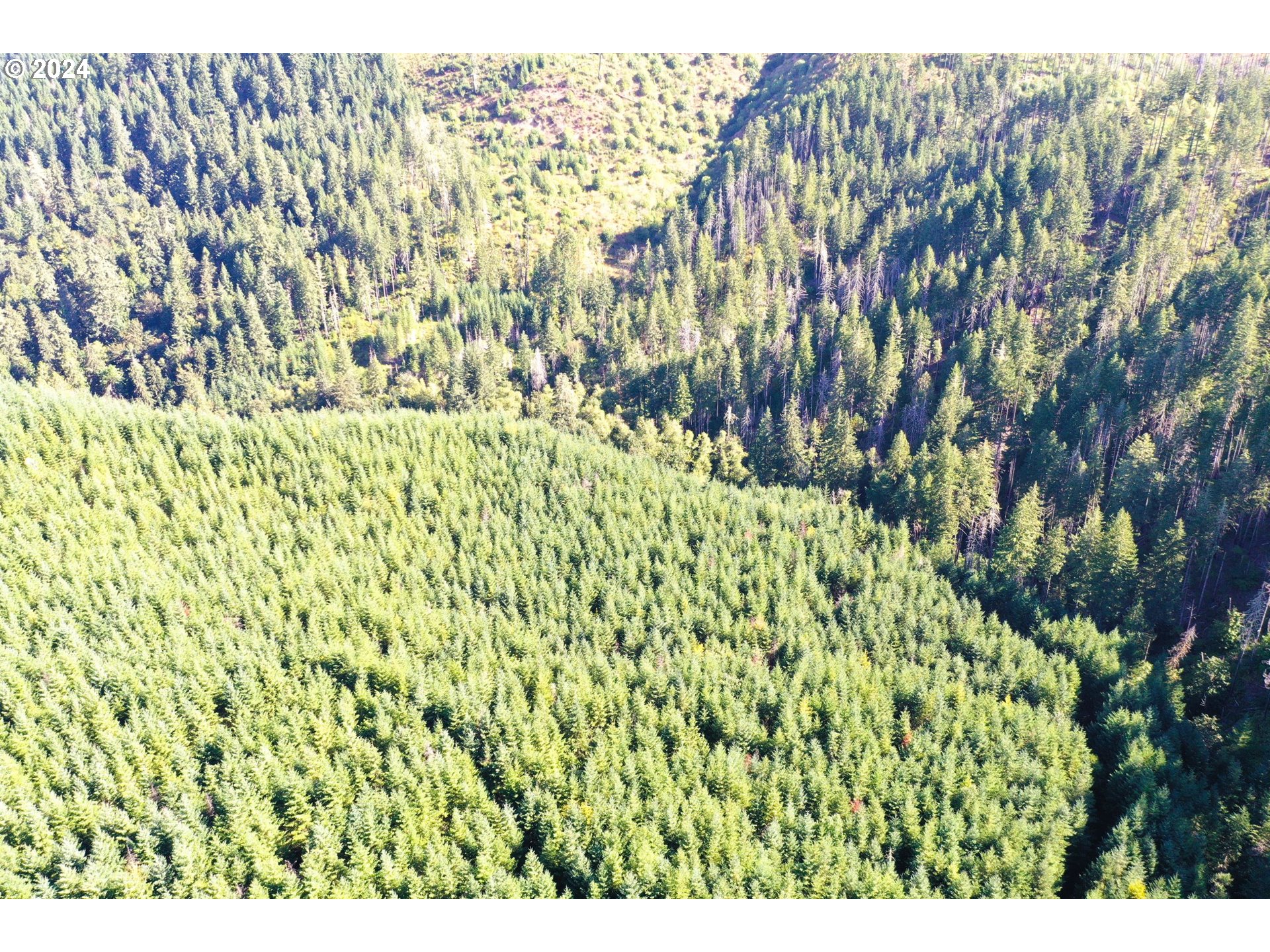 High Pass Road, Unit TL3400 Junction City, OR 97448 - Photo 18 of 48 Gallery Image 18