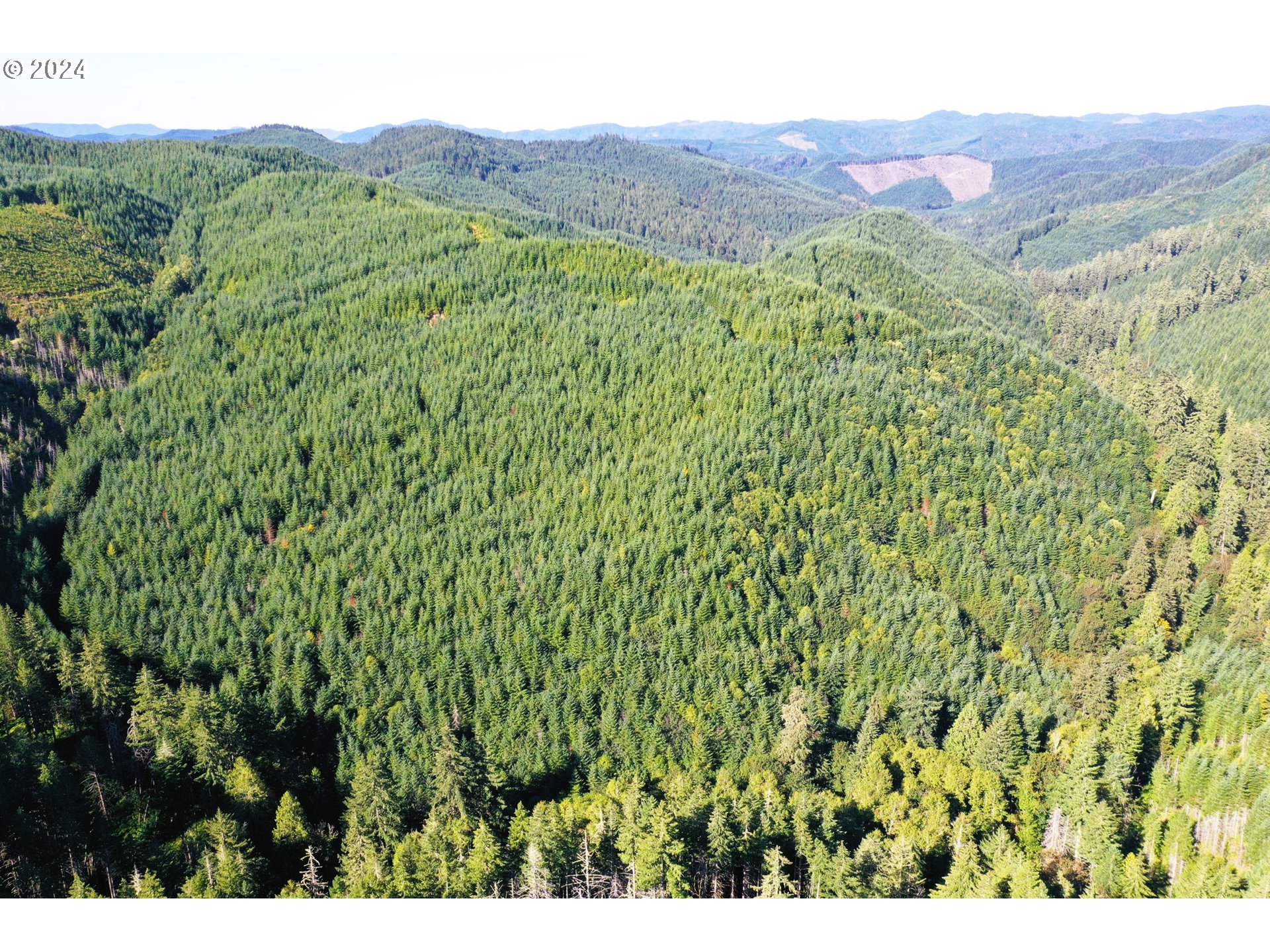 High Pass Road, Unit TL3400 Junction City, OR 97448 - Photo 19 of 48 Gallery Image 19