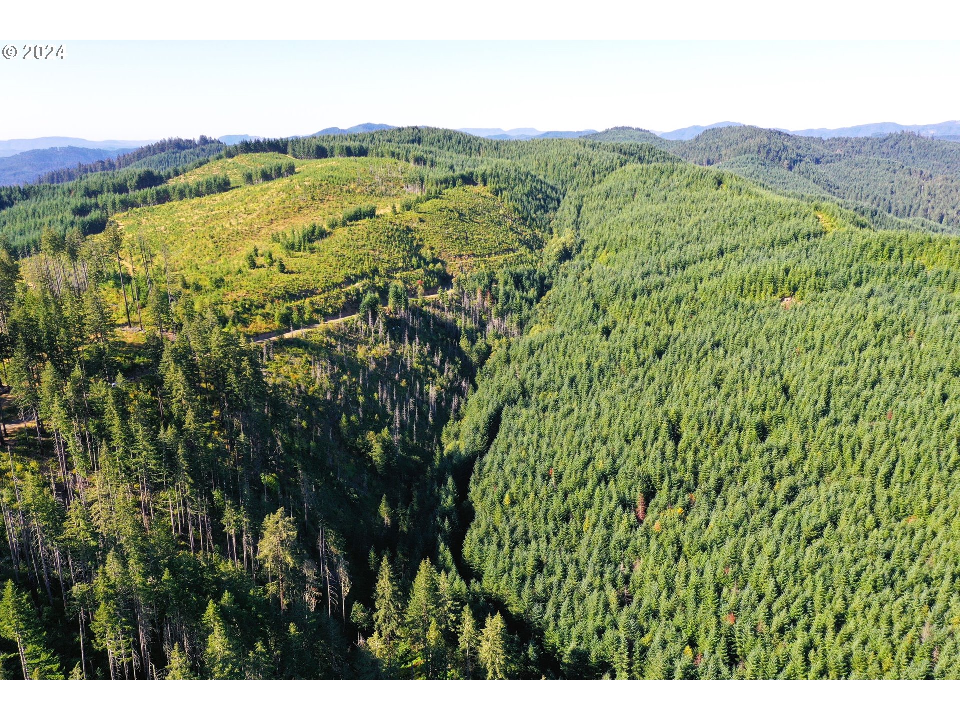 High Pass Road, Unit TL3400 Junction City, OR 97448 - Photo 2 of 48 Gallery Image 2